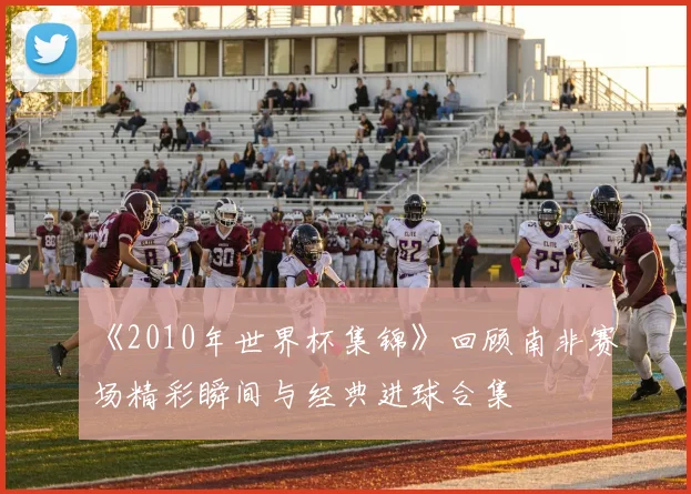 《2010年世界杯集锦》回顾南非赛场精彩瞬间与经典进球合集
