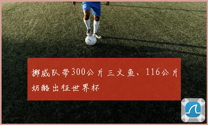 挪威队带300公斤三文鱼、116公斤奶酪出征世界杯
