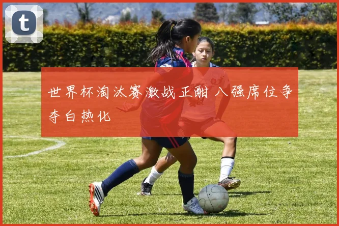 世界杯淘汰赛激战正酣 八强席位争夺白热化
